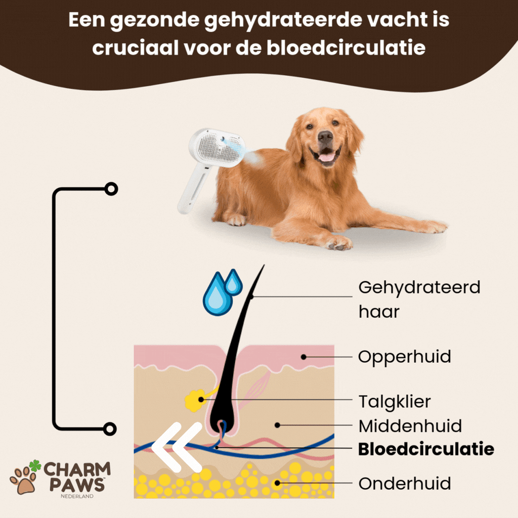 CharmPaws® Steami Pro - Professionele Vachtverzorgings Borstel voor alle Honden & Katten