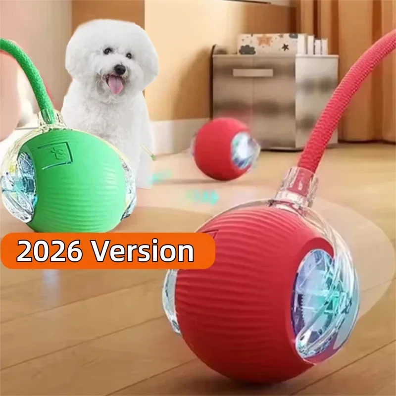 🎁2026 Nieuw binnen 50% KORTING💥De bal voor huisdieren die vanzelf beweegt — je hoeft hem niet te apporteren