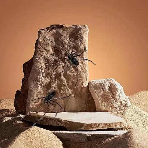 🕷️ Spinnenmagneet voor de Koelkast | Realistisch, Sterke Magneet & Perfect voor Grappen – Nu 50% Korting 🎁