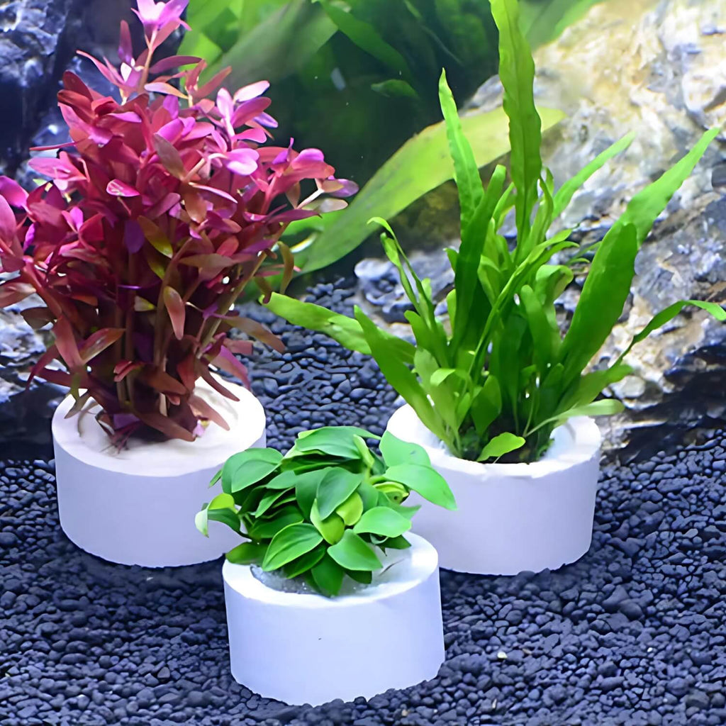 3-delige Aquarium Plantenringen 🐾 Set van 4 stuks 🐾