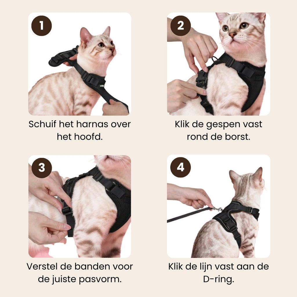 CharmPaws® Explorer Air - Ademend en Verstelbaar Kattenharnas met Looplijn