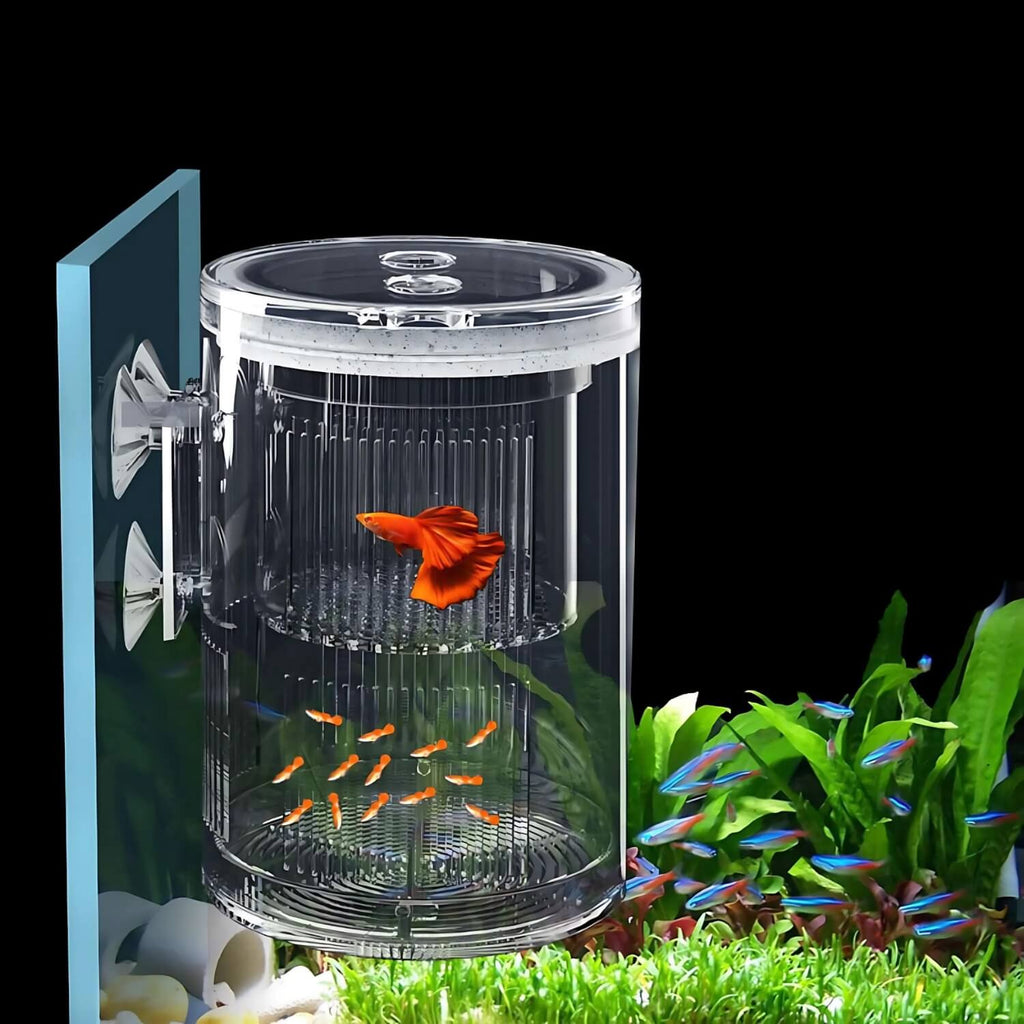 Multifunctionele kweekbox voor aquariums van acryl