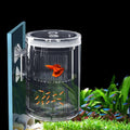 Multifunctionele kweekbox voor aquariums van acryl