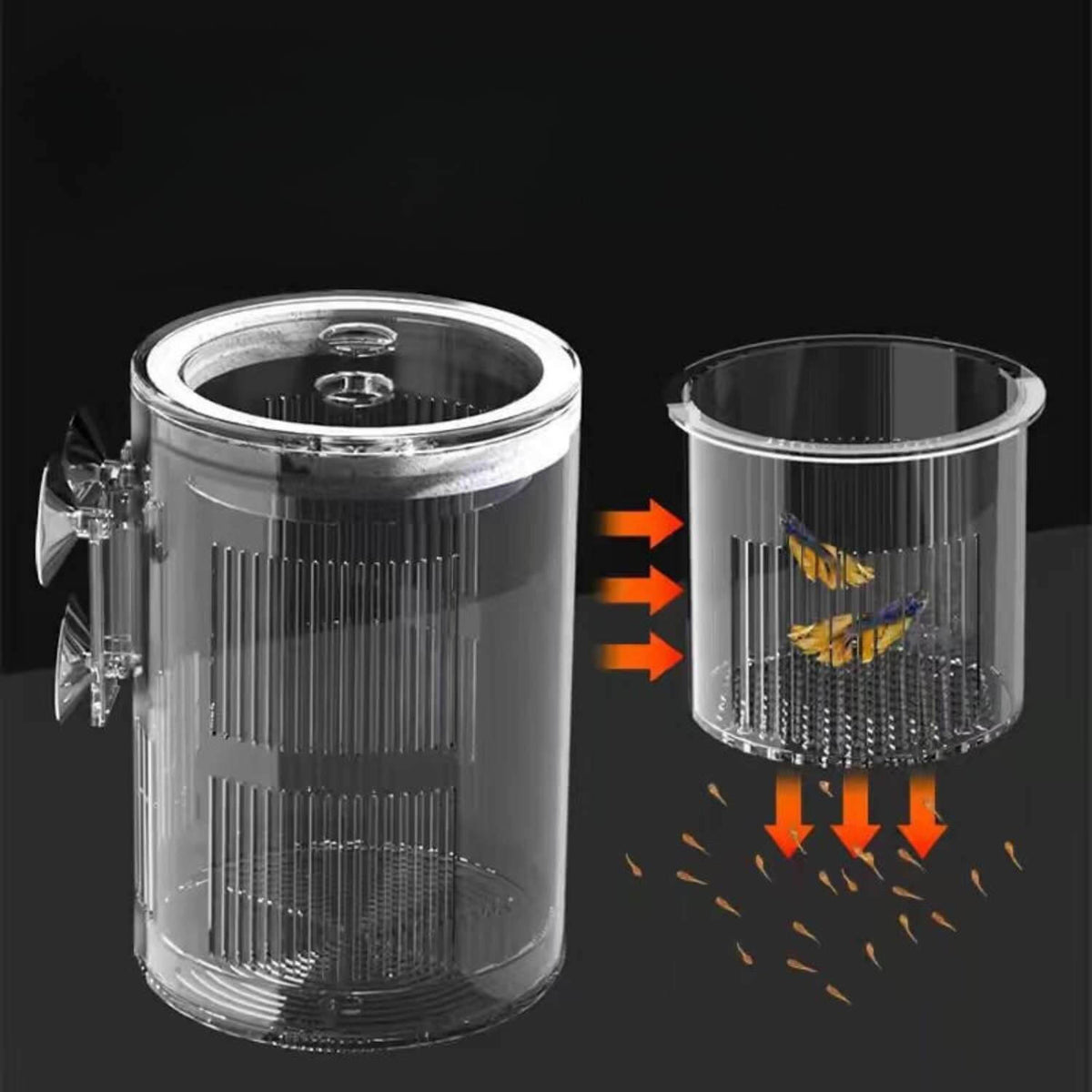Multifunctionele kweekbox voor aquariums van acryl
