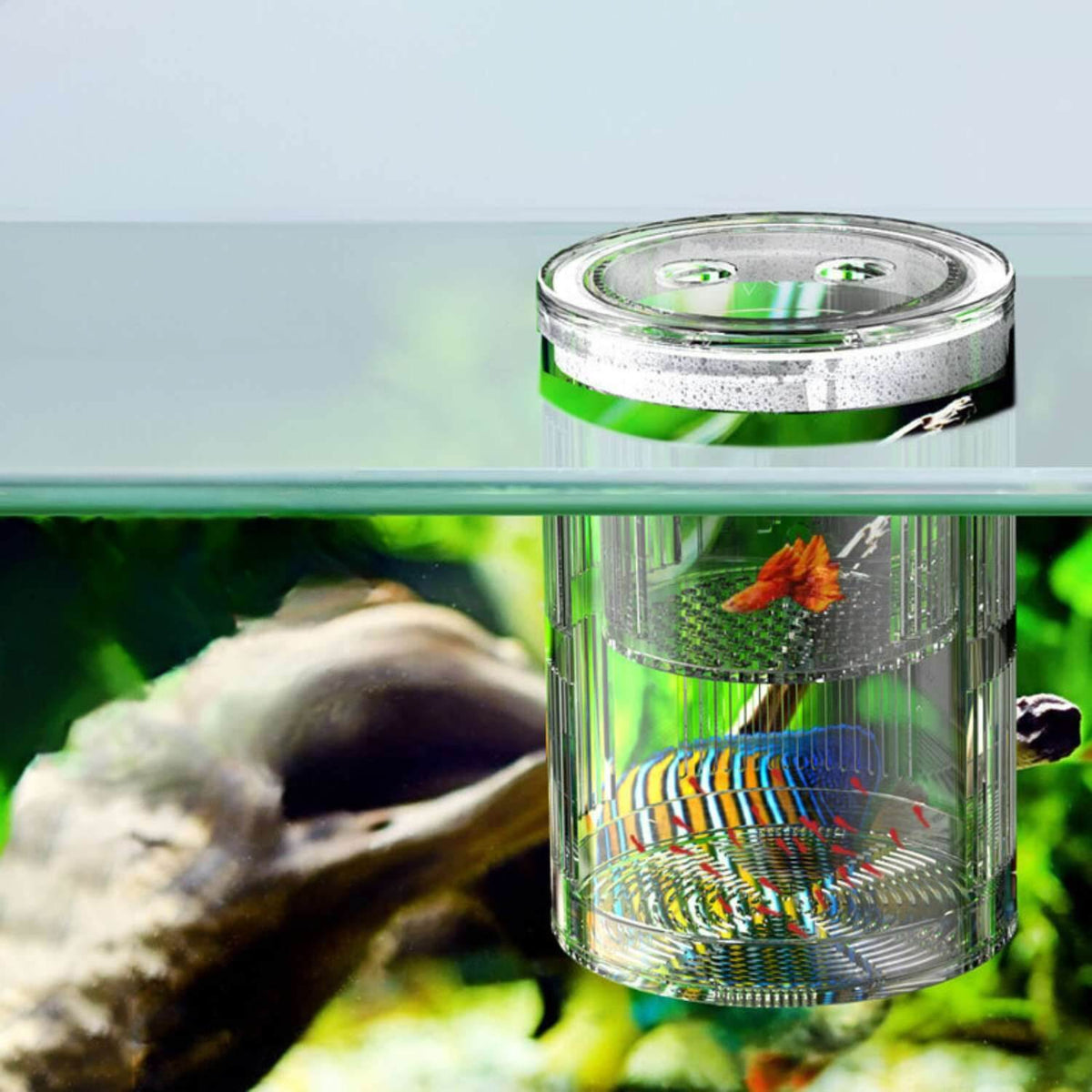 Multifunctionele kweekbox voor aquariums van acryl
