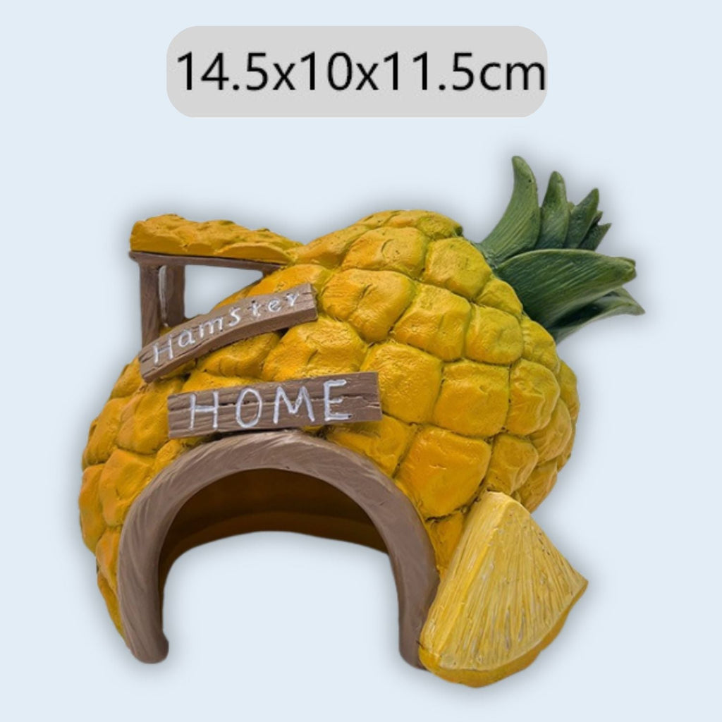 Tropische Aquarium Decoratie