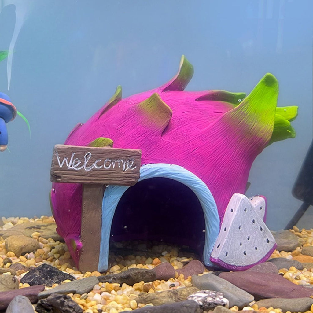 Tropische Aquarium Decoratie