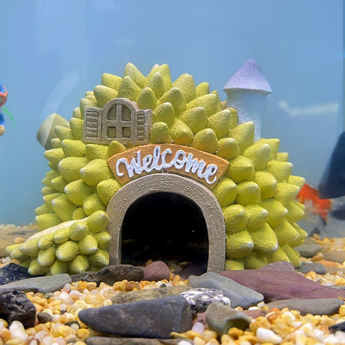 Tropische Aquarium Decoratie