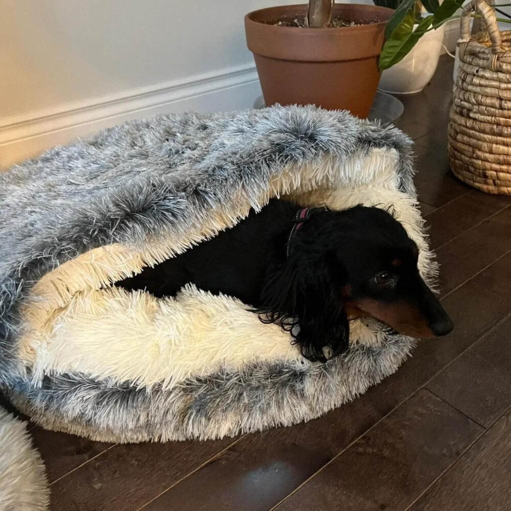 Comfortabel Huisdierbed - Top Beoordeeld en Perfect voor Honden & Katten