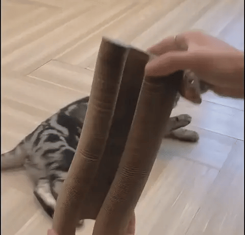 Opvouwbare kartonnen krabdonut | Krabben, spelen en relaxen 🐾 1+1 GRATIS 🐾