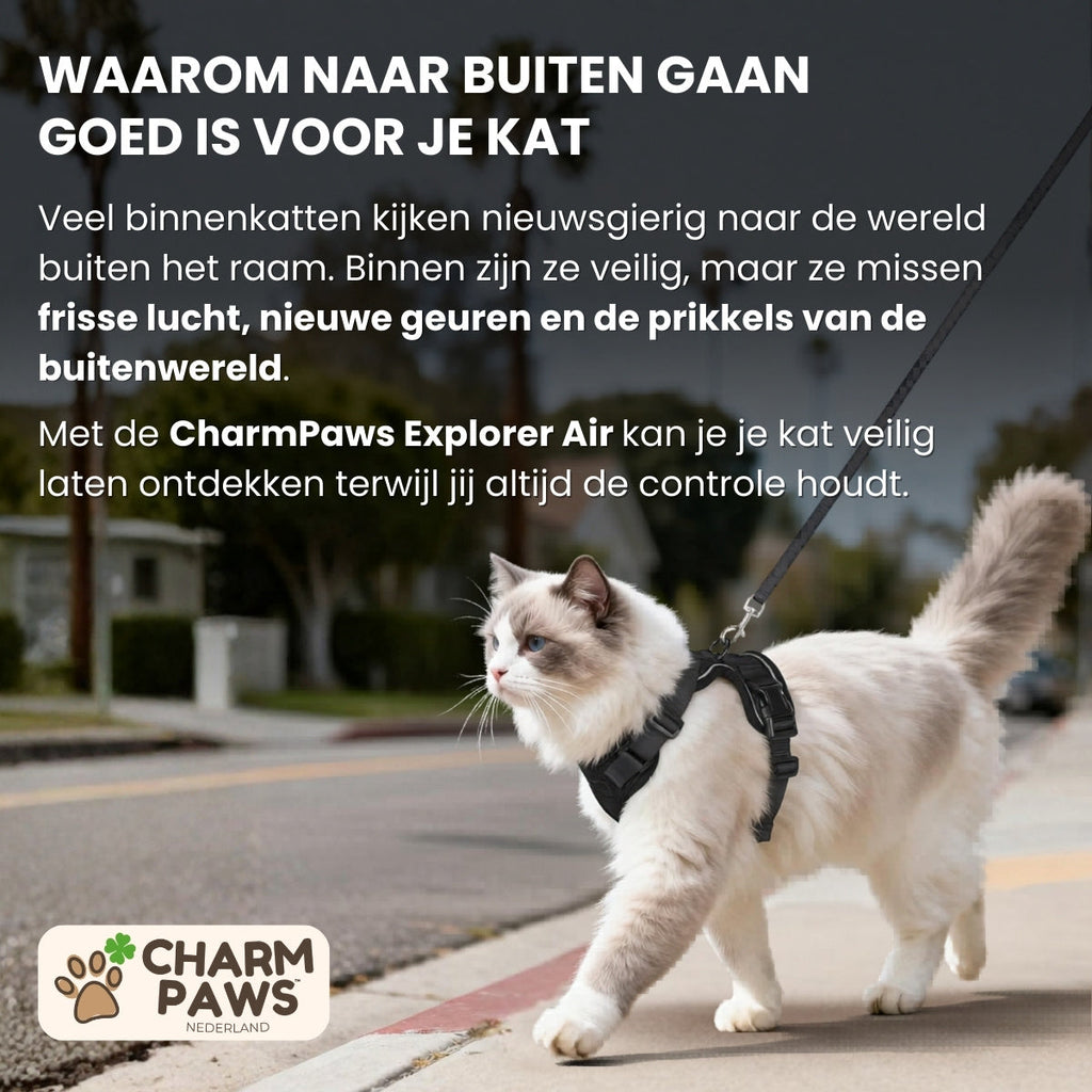 CharmPaws® Explorer Air - Ademend en Verstelbaar Kattenharnas met Looplijn