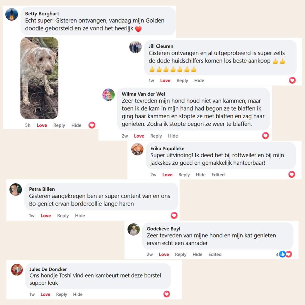 CharmPaws® Steami Pro - Professionele Vachtverzorgings Borstel voor alle Honden & Katten