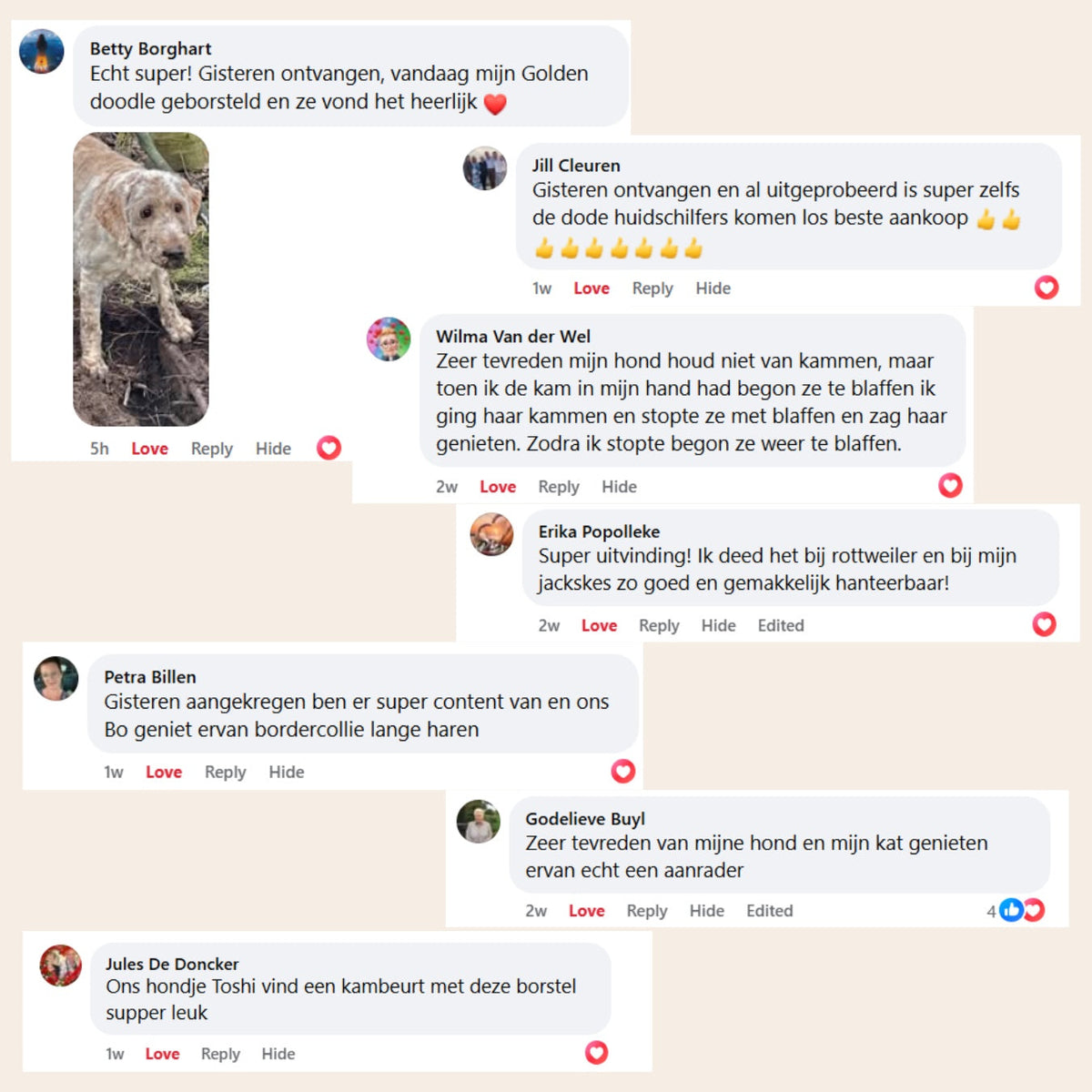 CharmPaws® Steami Pro - Professionele Vachtverzorgings Borstel voor alle Honden & Katten