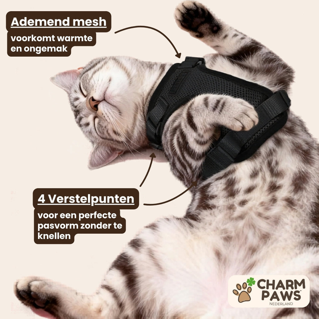 CharmPaws® Explorer Air - Ademend en Verstelbaar Kattenharnas met Looplijn