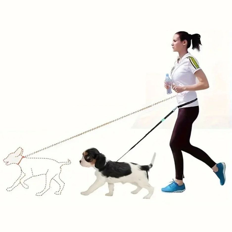 Handsfree Hondenriem Set voor om je Middel - Met 1 of 2 Riemen