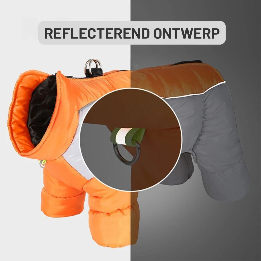 Hondenjas | Warm, Waterdicht & Reflecterend