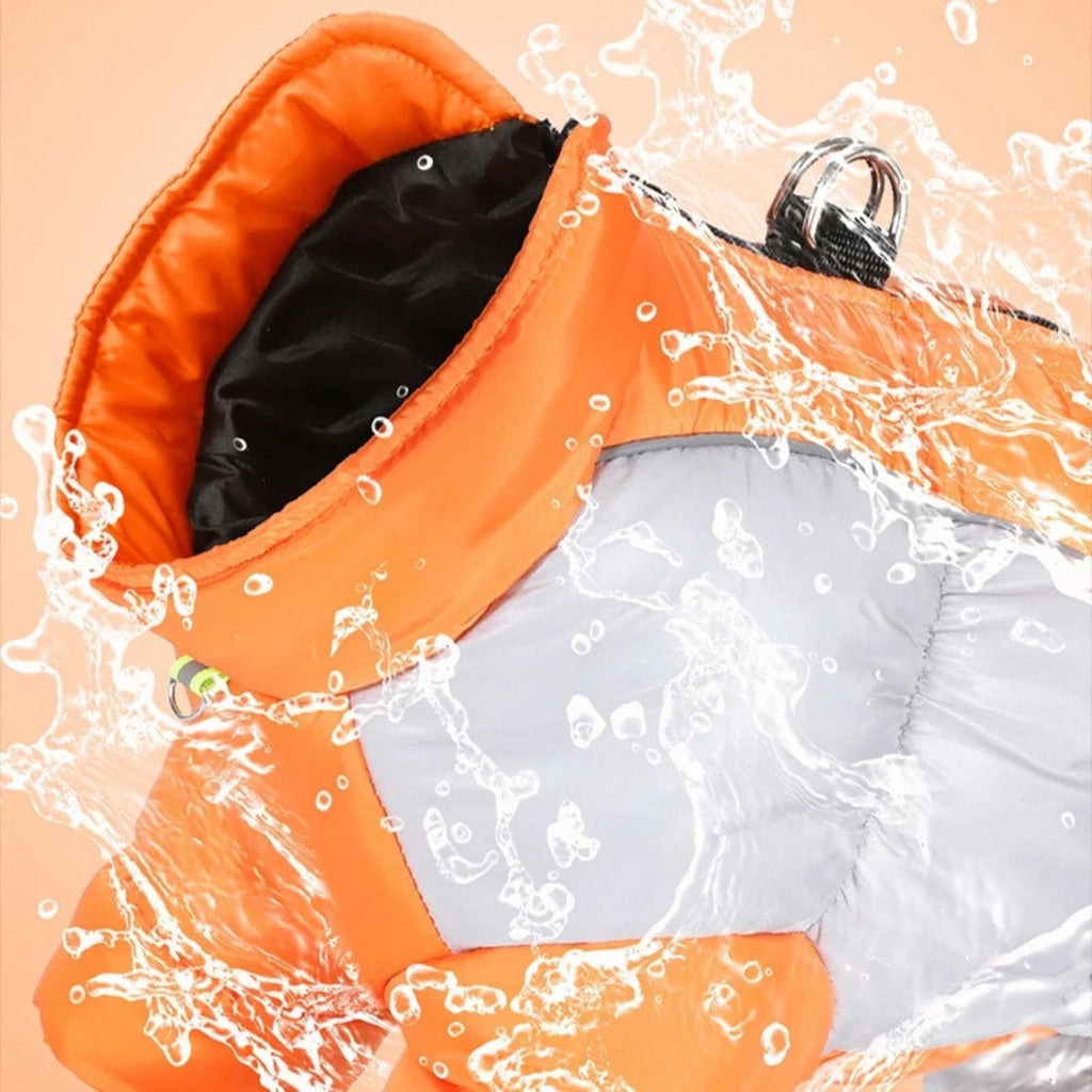 Hondenjas | Warm, Waterdicht & Reflecterend
