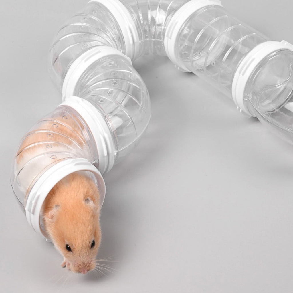 Hamster Pijp Speelgoed Set | Leuk DIY Tunnel voor Actief Spelen en Verkenning