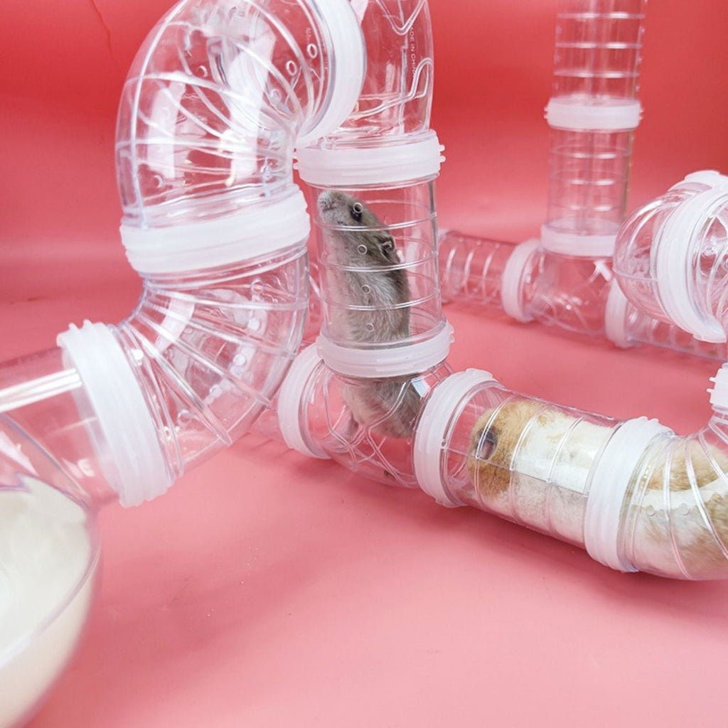 Hamster Pijp Speelgoed Set | Leuk DIY Tunnel voor Actief Spelen en Verkenning