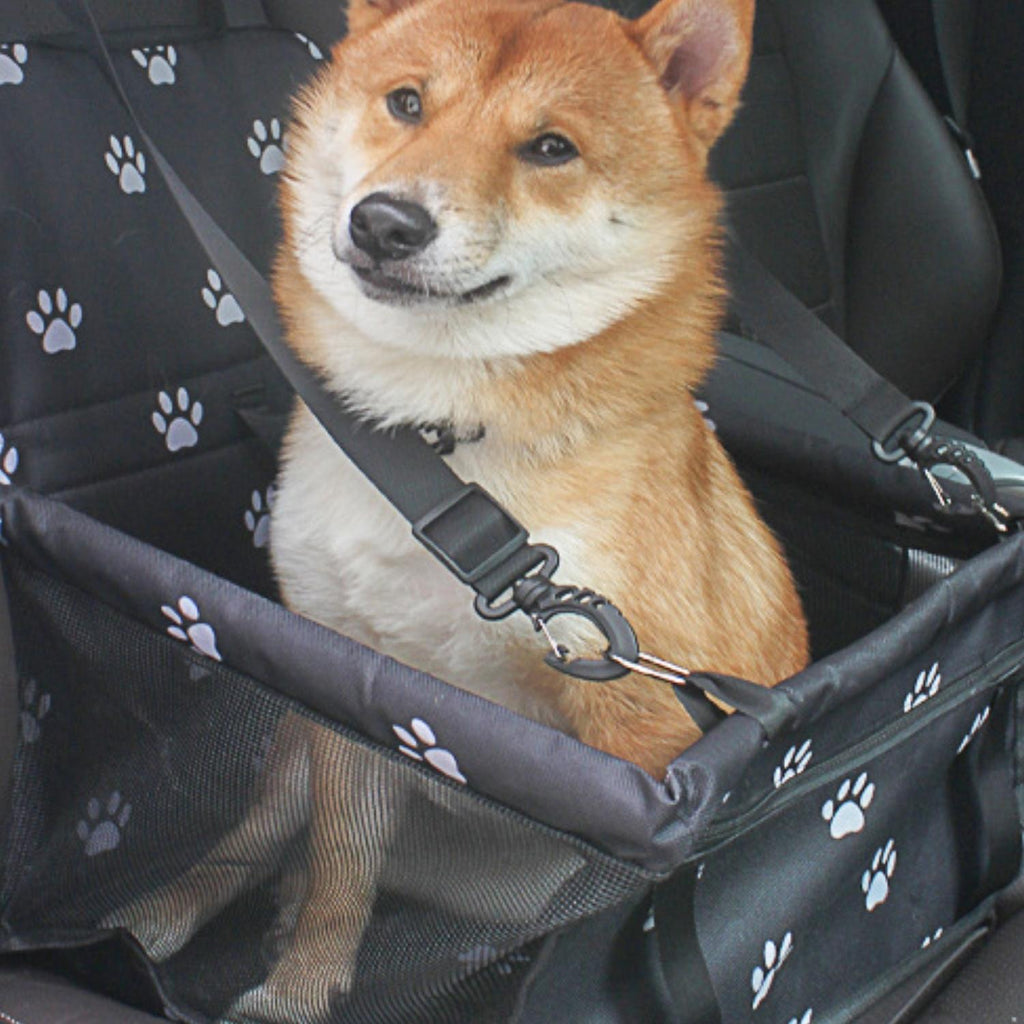 Veiligheidsautostoel voor Kleine Honden & Katten