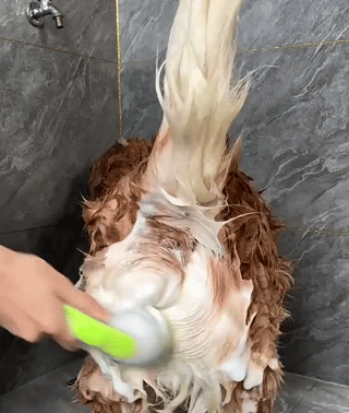 Honden Shampoo Borstel | Zachte Was Massage Verzorging
