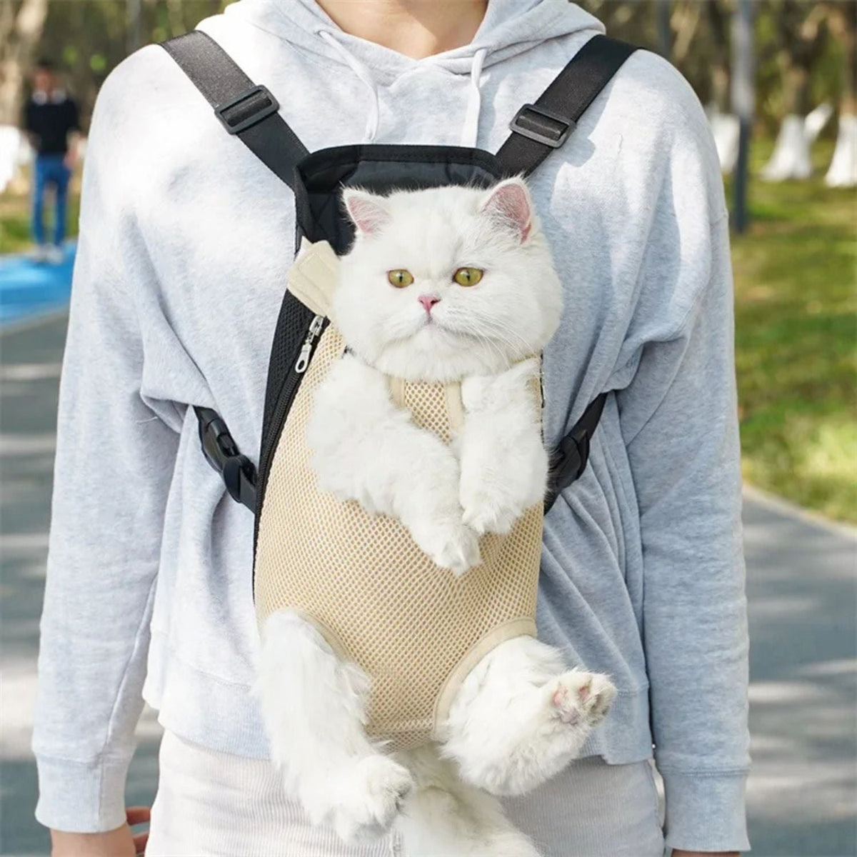 Draagzak voor Katten en Kleine Honden | Comfortabele Reis voor je Harige Vriend