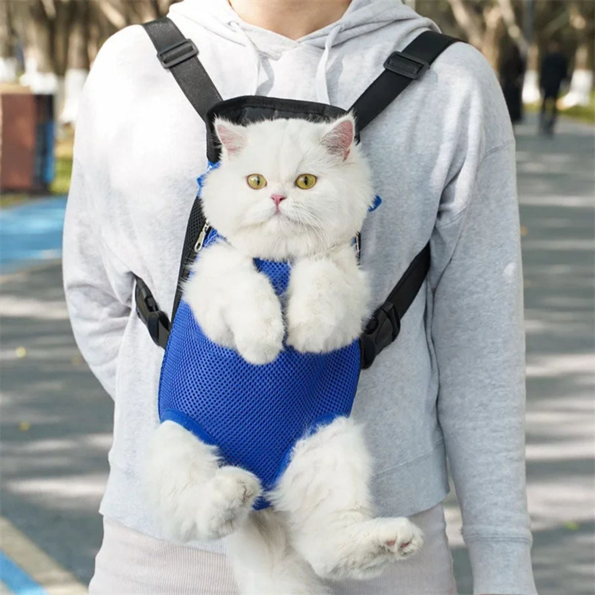 Draagzak voor Katten en Kleine Honden | Comfortabele Reis voor je Harige Vriend