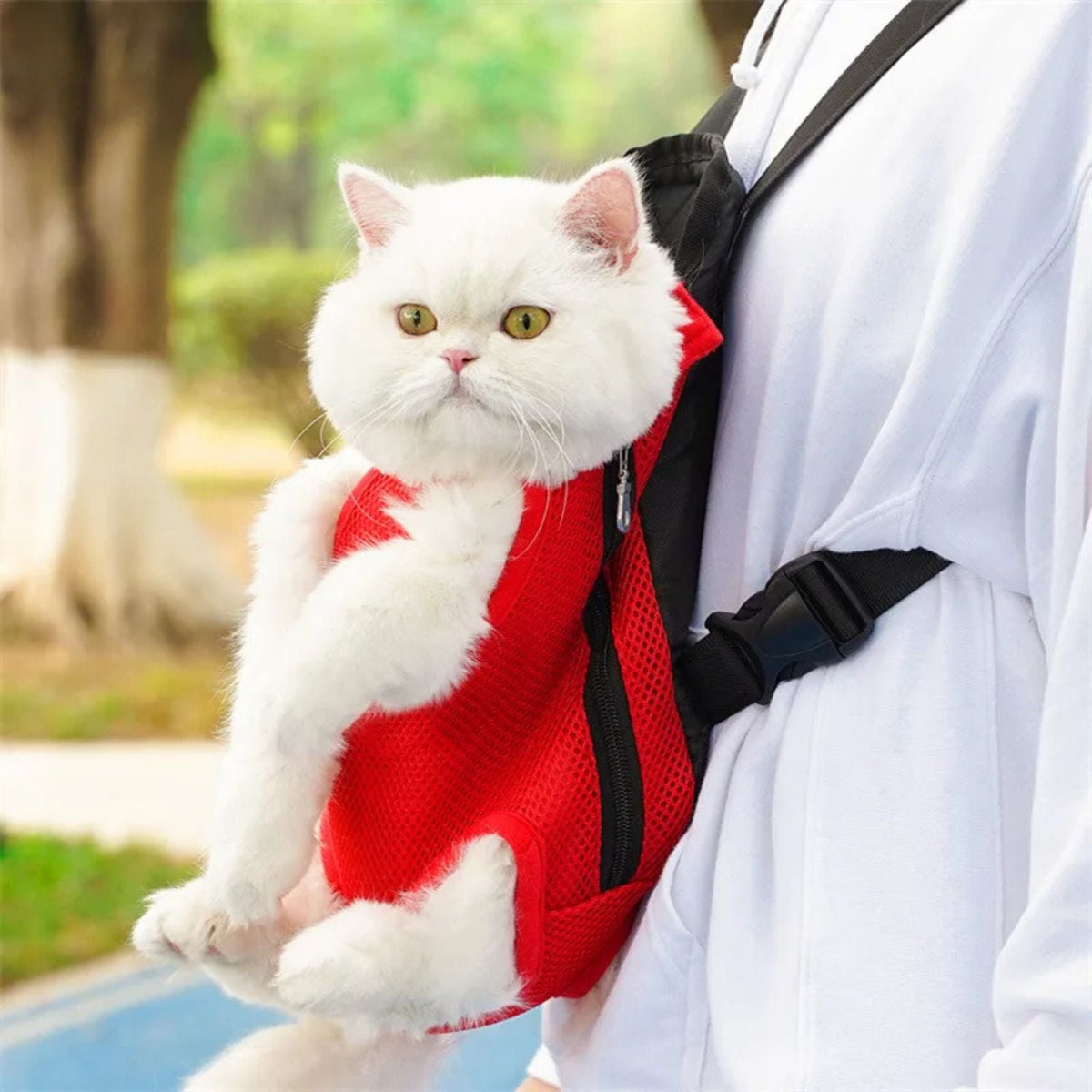Draagzak voor Katten en Kleine Honden | Comfortabele Reis voor je Harige Vriend