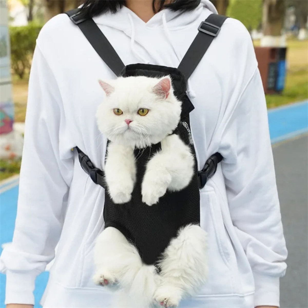 Draagzak voor Katten en Kleine Honden | Comfortabele Reis voor je Harige Vriend