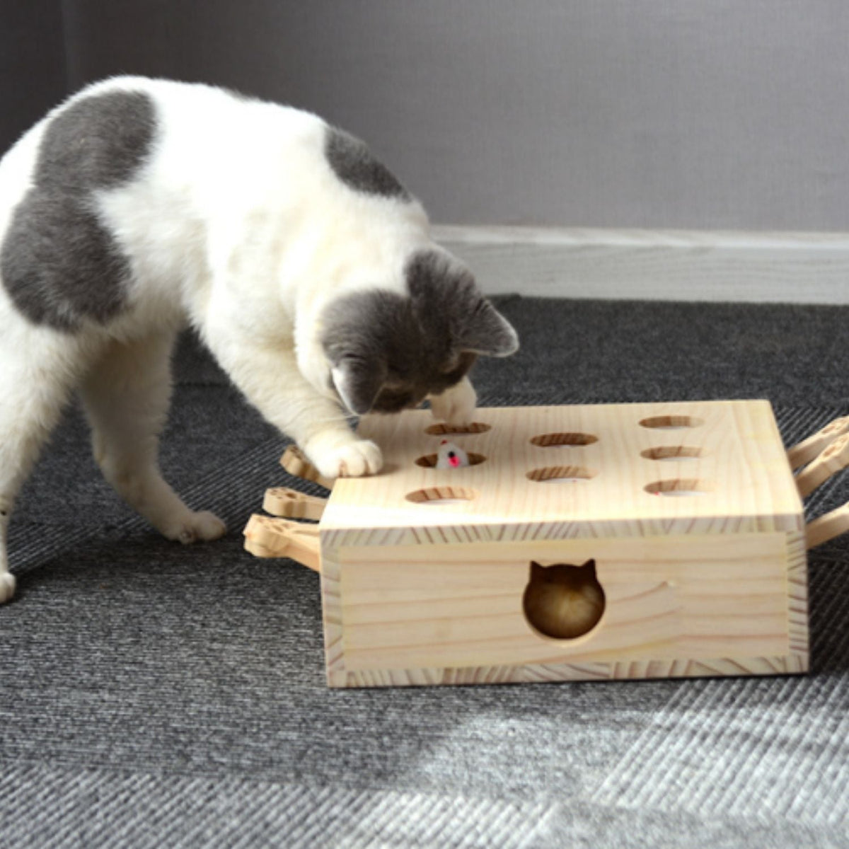 Whack-a-Mole/Mollenmeppen Hout | Uitdagend spel voor Katten