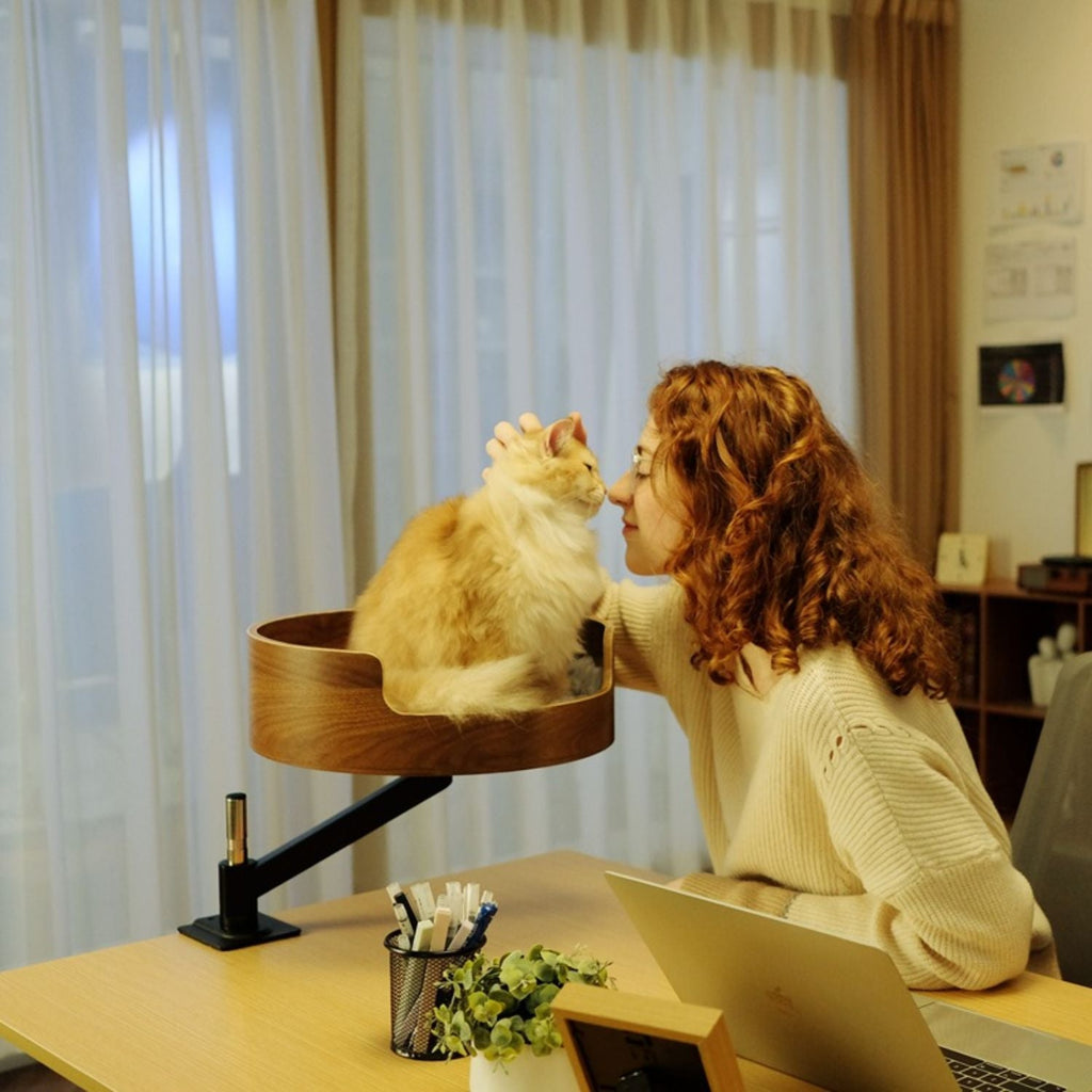 Bureau Kattenmand | Draaibaar, Verstelbaar & Dubbele Mand