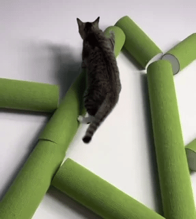 Kattenboom Wandkrabber | Zelfklevend Klim  & Speelpaneel