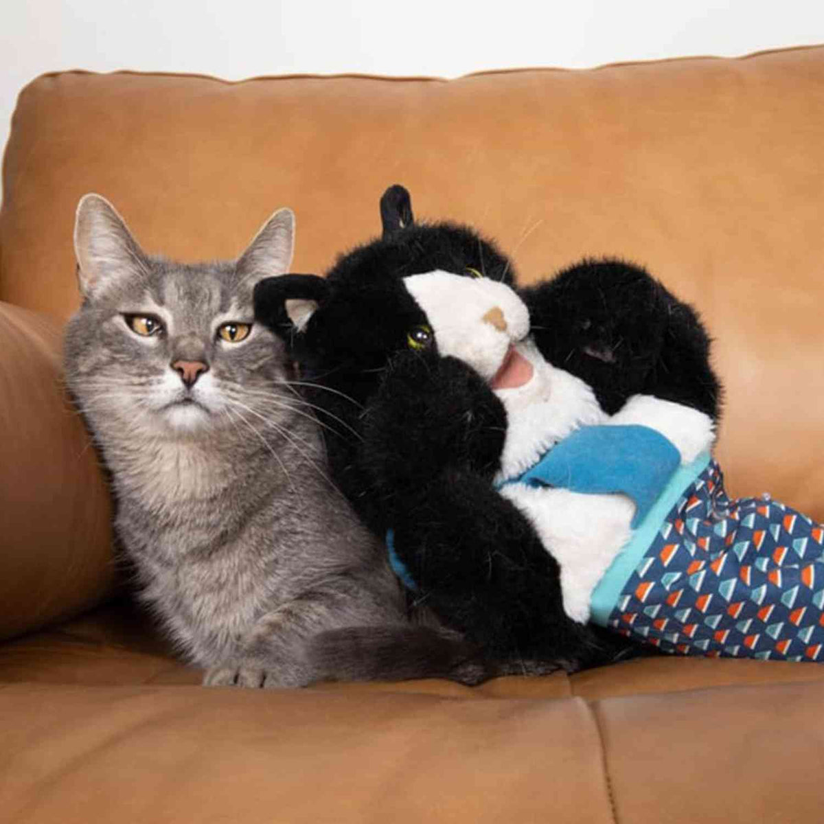 Kattenhandschoen Pop Speelset | Leuk Poppenspel & Actief Vermaak