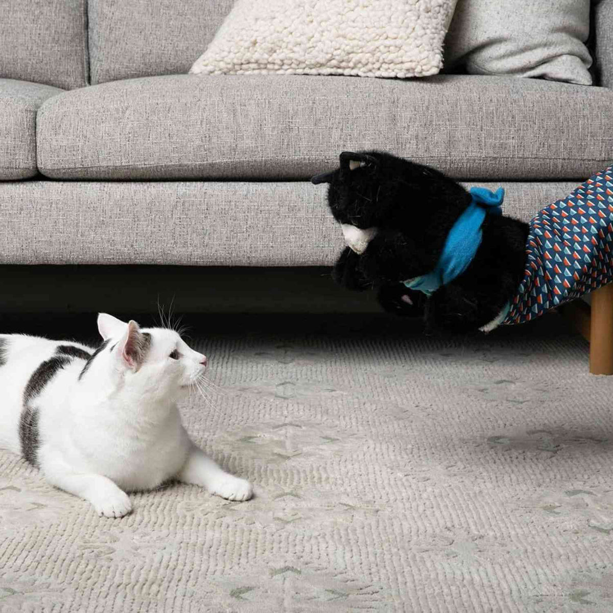 Kattenhandschoen Pop Speelset | Leuk Poppenspel & Actief Vermaak