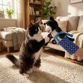 Kattenhandschoen Pop Speelset | Leuk Poppenspel & Actief Vermaak