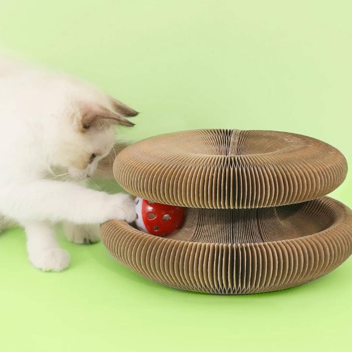 Opvouwbare kartonnen krabdonut | Krabben, spelen en relaxen 🐾 1+1 GRATIS 🐾