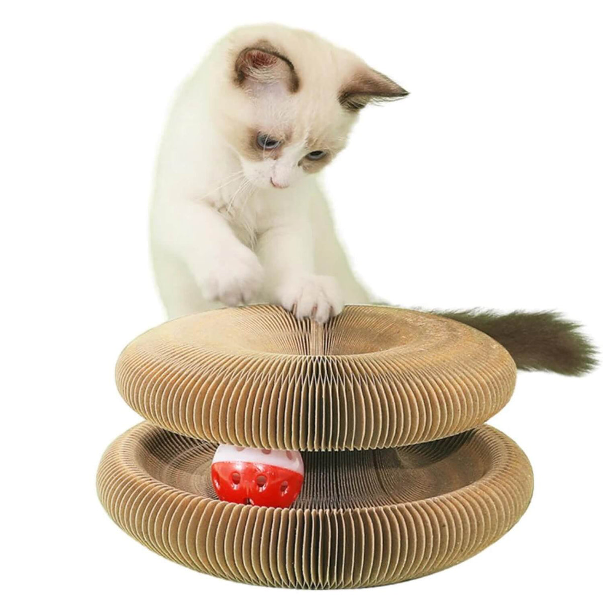 Opvouwbare kartonnen krabdonut | Krabben, spelen en relaxen 🐾 1+1 GRATIS 🐾