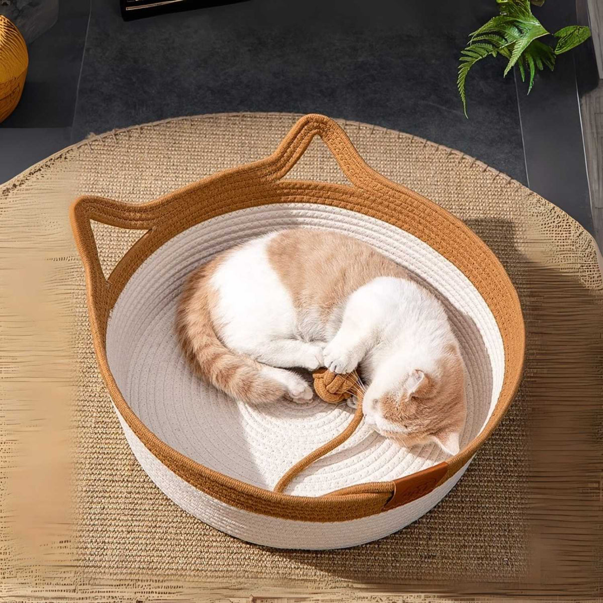 Krabmand Rattan Kat | Comfortabel Huis & Slijtvast Krabbed