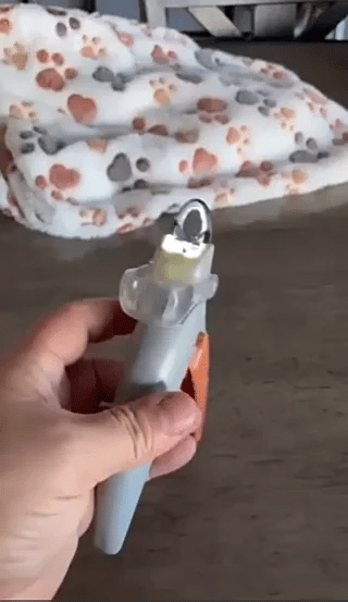 LED Nagelknipper Huisdieren | Veilig Knippen + Precisie Licht