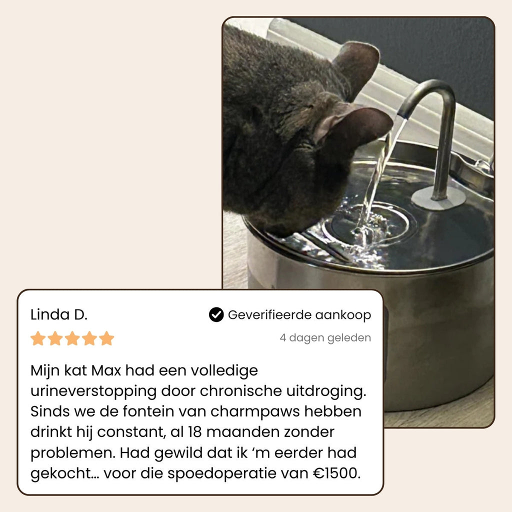 CharmPaws® PuraFlow Pro - Premium RVS Drinkfontein voor Katten