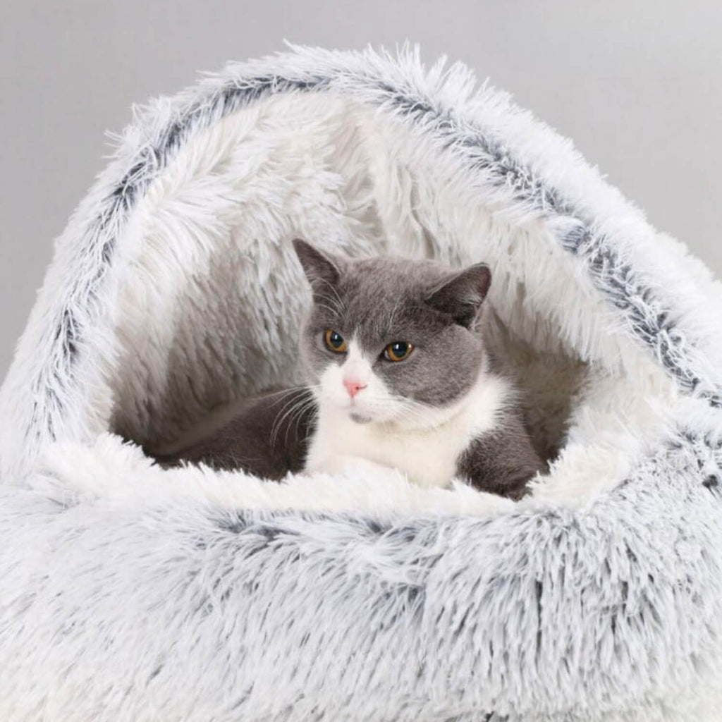 Comfortabel Huisdierbed - Top Beoordeeld en Perfect voor Honden & Katten