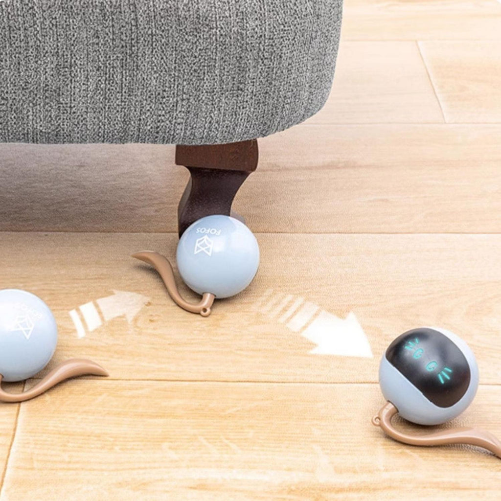 2-in-1 Interactief Zelfrollende Bal met Jachthoes | Speelgoed voor Gelukkige, Speelse Katten