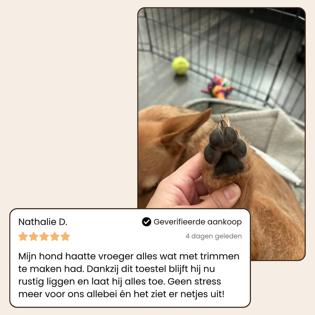 CharmPaws® PawBlade Pro - Professionele Precisie Trimmer voor alle Honden & Katten