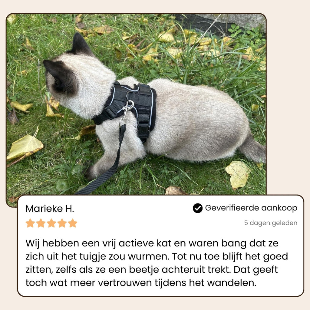 CharmPaws® Explorer Air - Ademend en Verstelbaar Kattenharnas met Looplijn