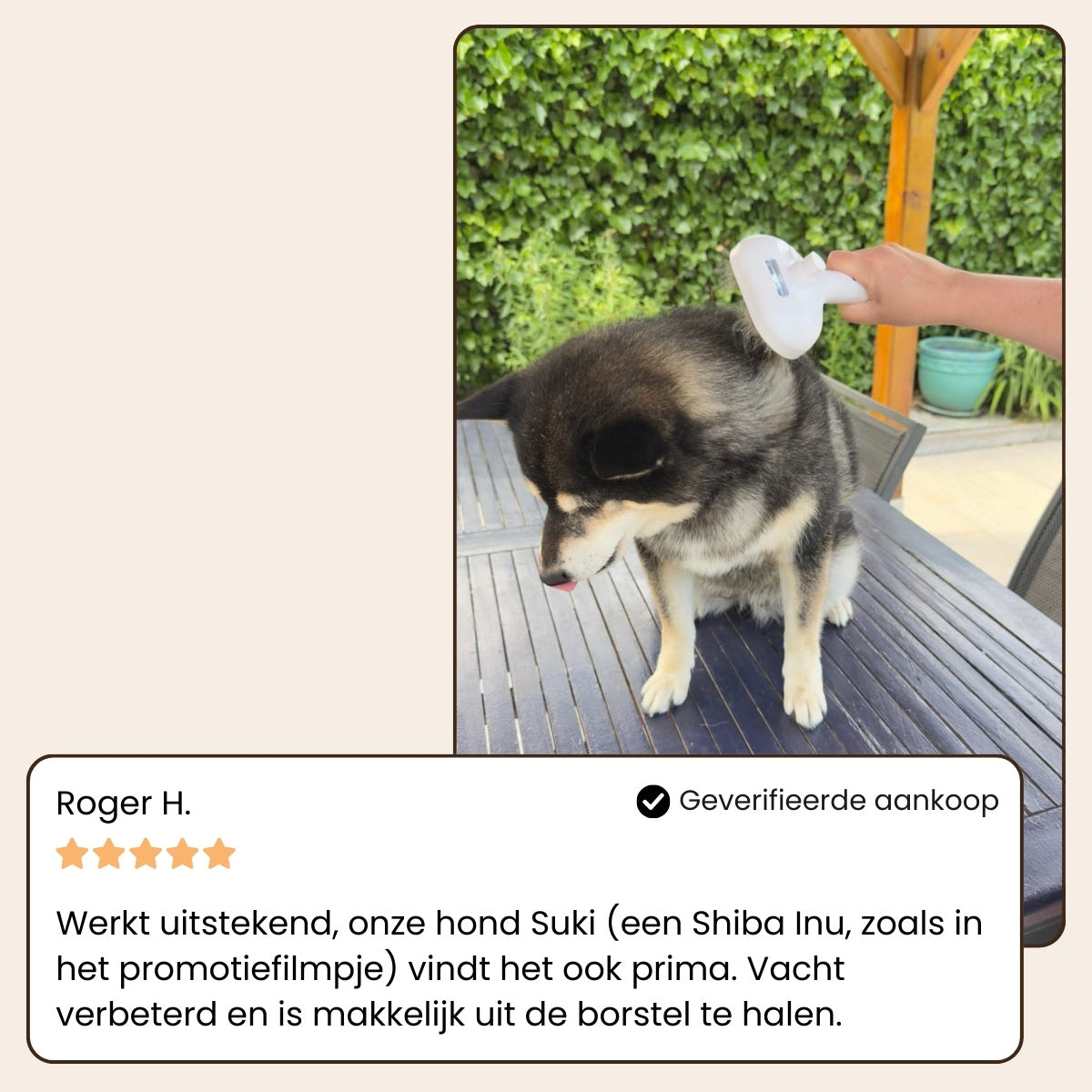 CharmPaws® Steami Pro Frisse Vacht Starter Set