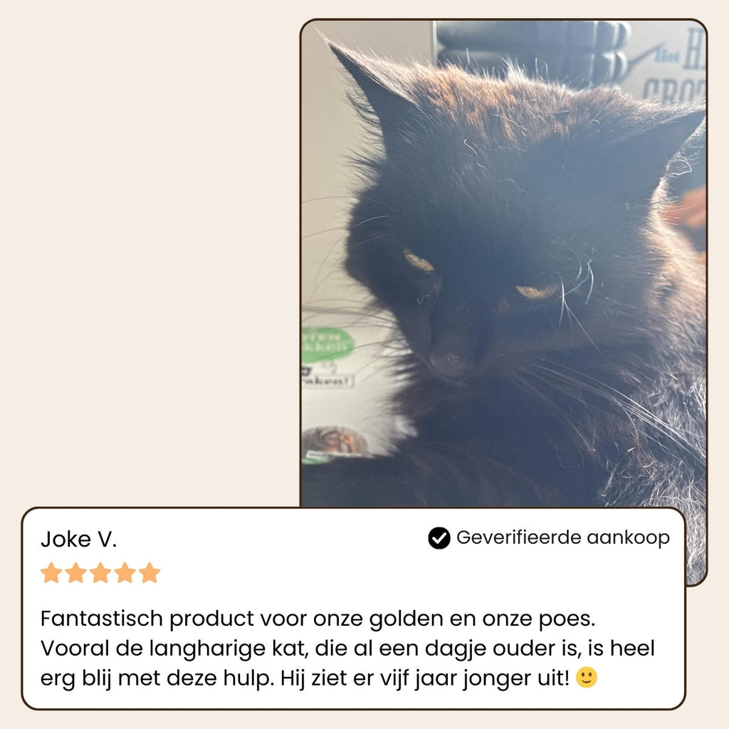 CharmPaws® Steami Pro - Professionele Vachtverzorgings Borstel voor alle Honden & Katten