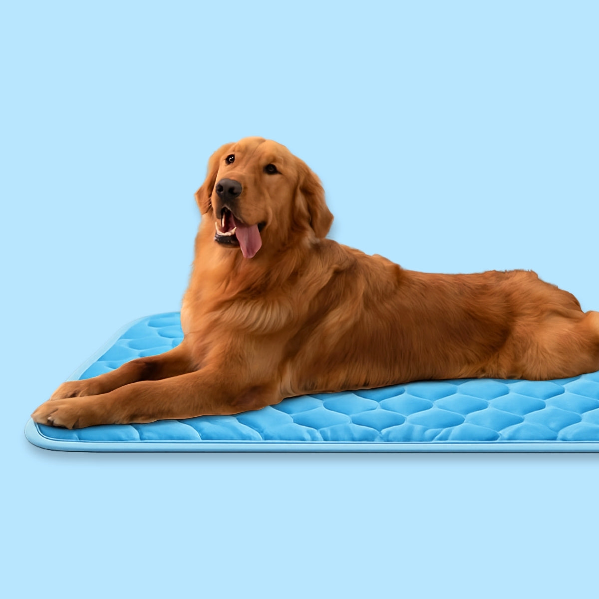 CharmPaws® IcyNap - Zelfkoelende Ligmat voor Huisdieren