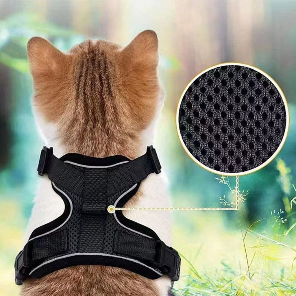 Kattenharnas & Lijn set | Verstelbaar en Comfortabel