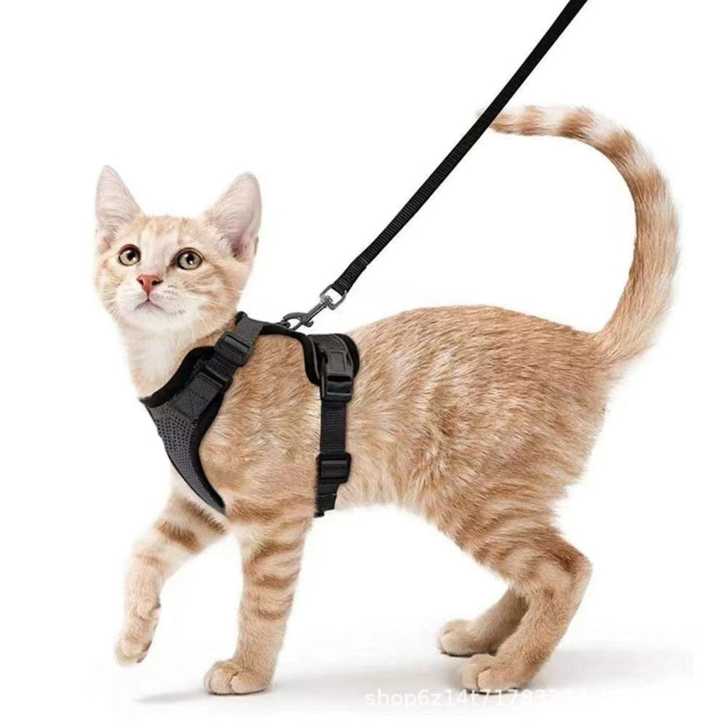 Kattenharnas & Lijn set | Verstelbaar en Comfortabel