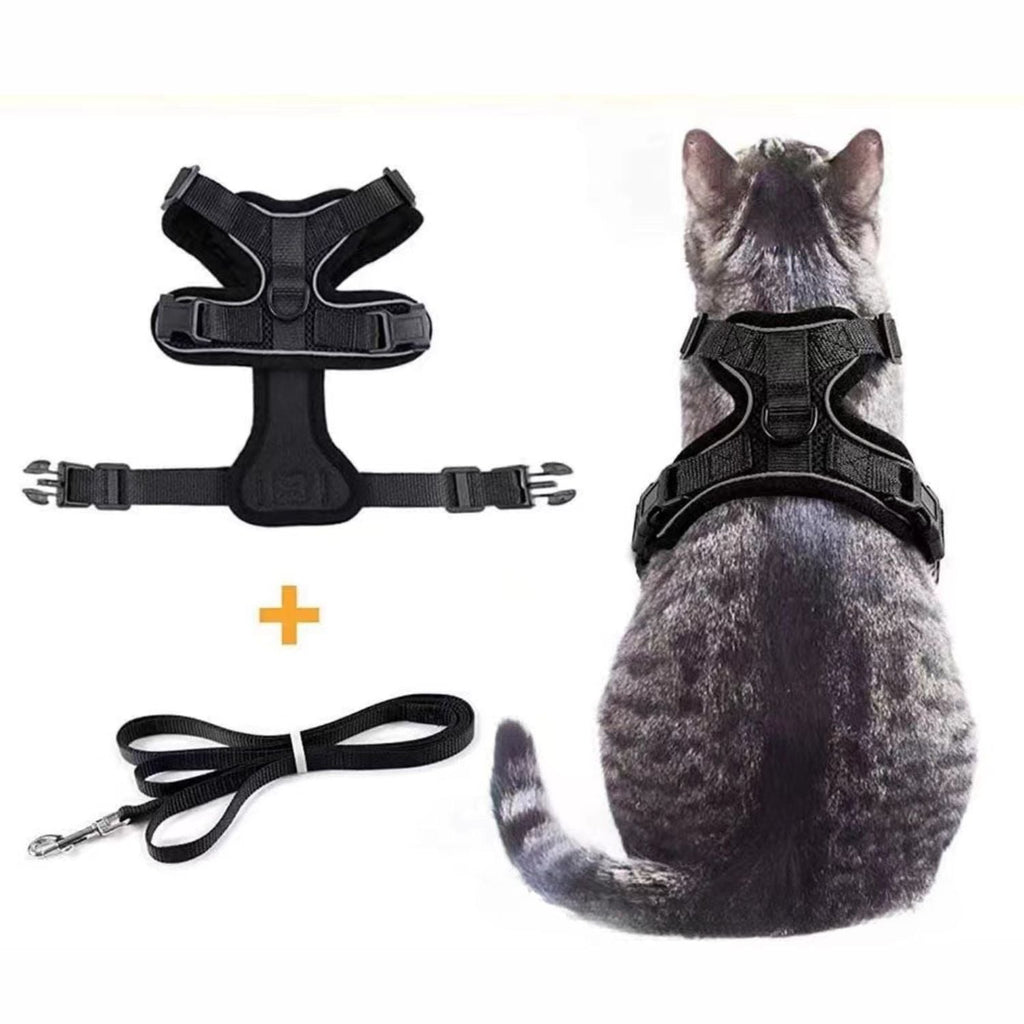 Kattenharnas & Lijn set | Verstelbaar en Comfortabel